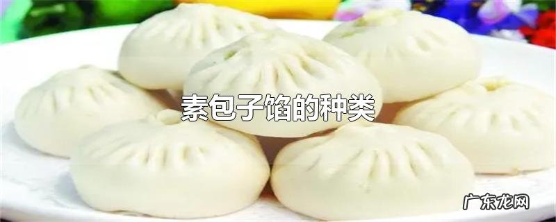 素包子馅的种类
