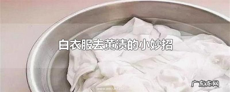 白衣服去黄渍的小妙招