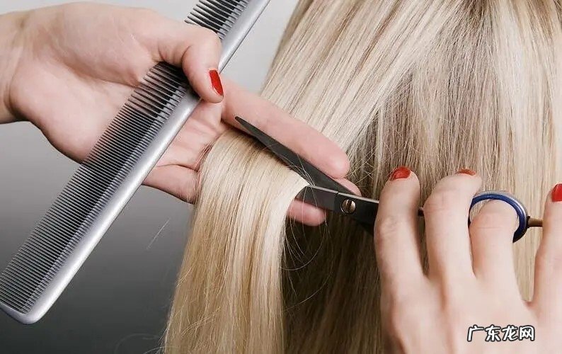 三个月 养出好头发多久需要修剪一次
