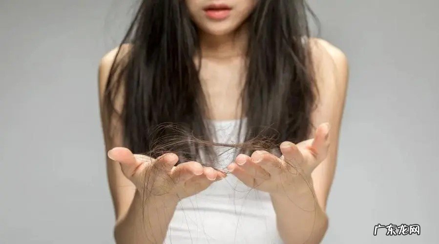 三个月 养出好头发多久需要修剪一次