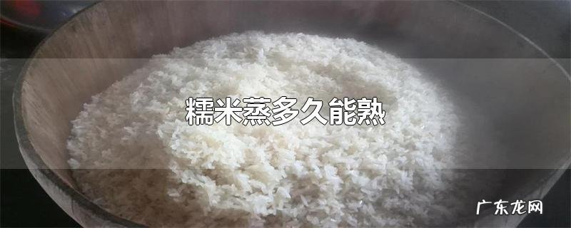 糯米蒸多久能熟