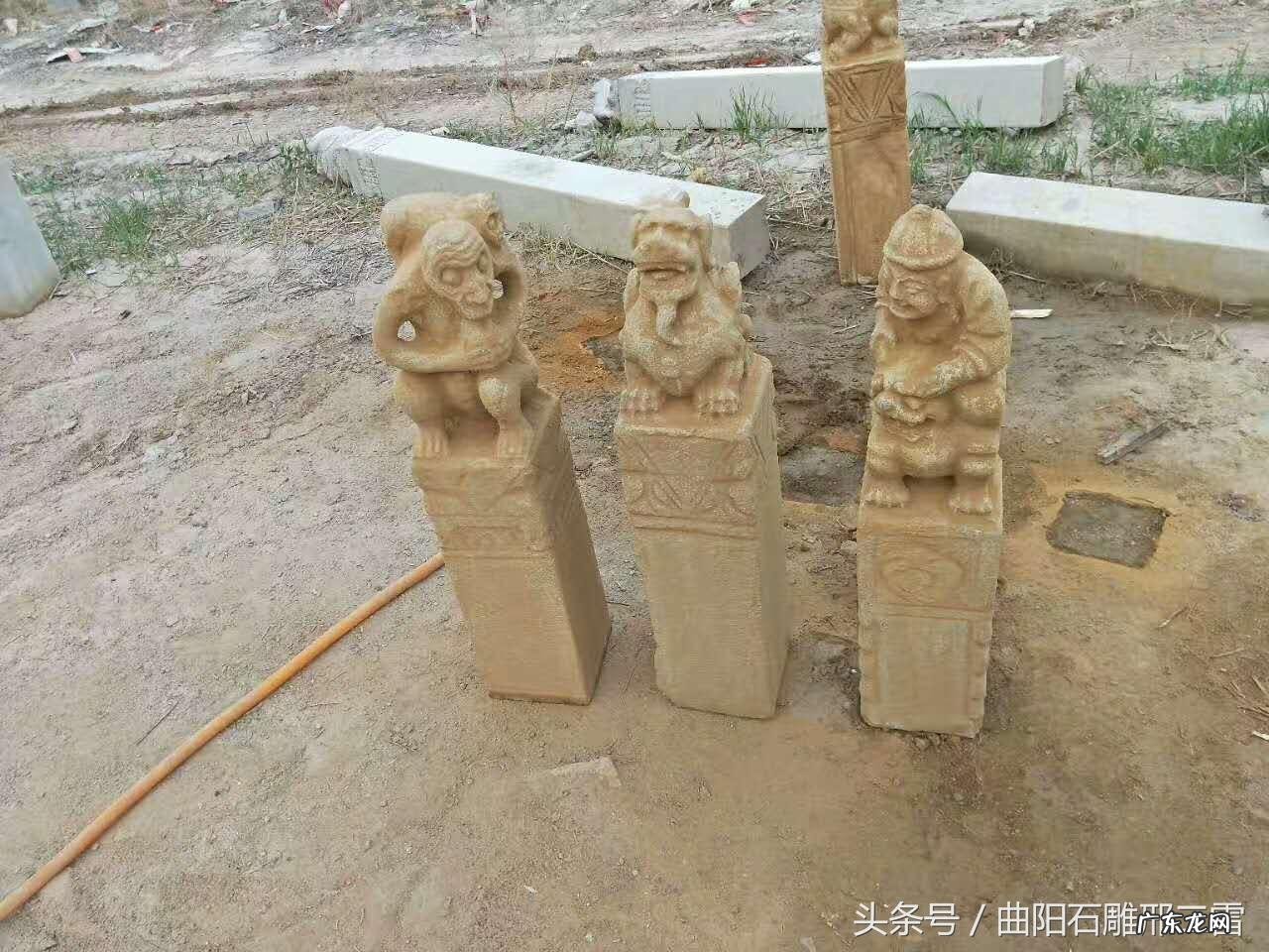 狗窝搭在哪里风水好呢