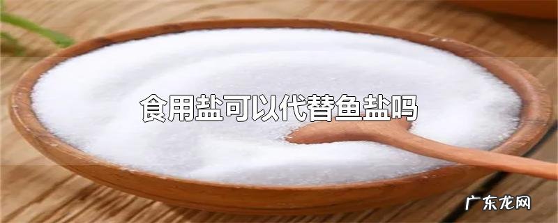 食用盐可以代替鱼盐吗