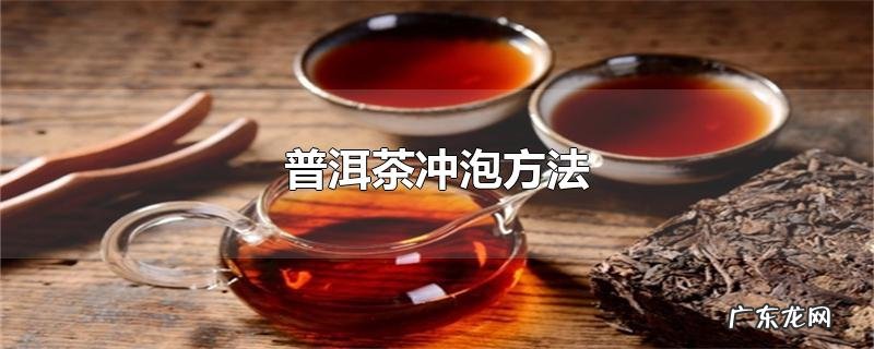 普洱茶冲泡方法