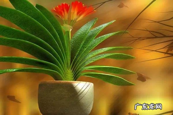 角煞是什么 角煞是什么意思