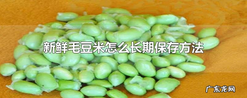 新鲜毛豆米怎么长期保存方法