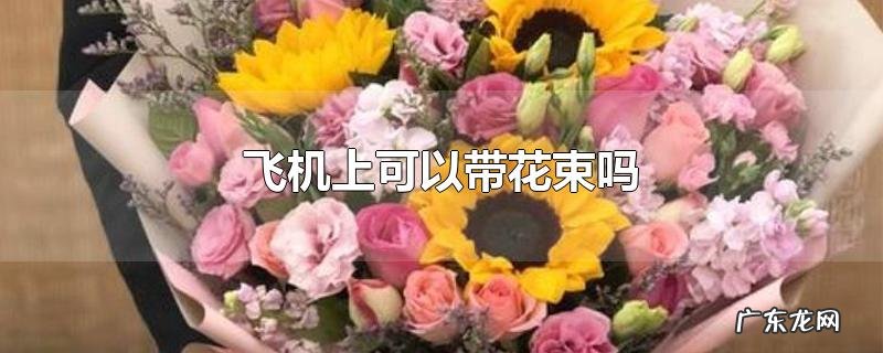飞机上可以带花束吗
