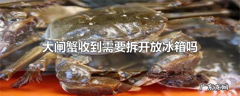 大闸蟹收到需要拆开放冰箱吗