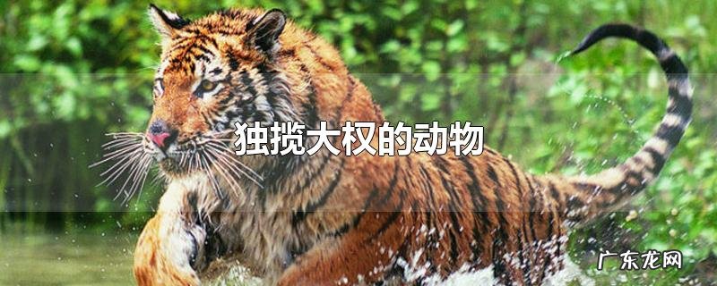 独揽大权的动物