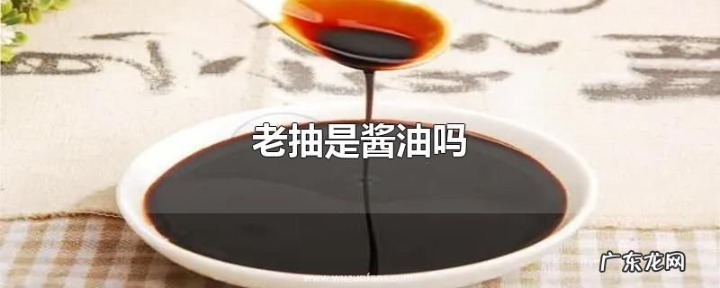 老抽是酱油吗