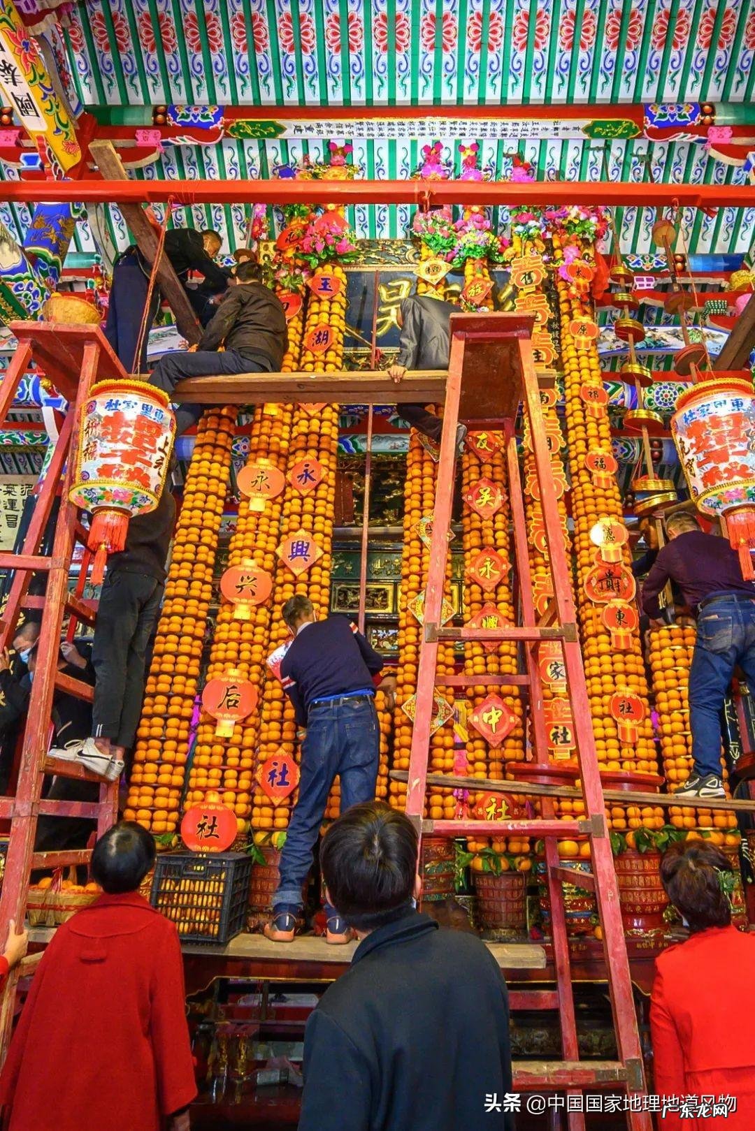 阳台种荔枝树风水好吗 水井旁边种荔枝树风水好吗