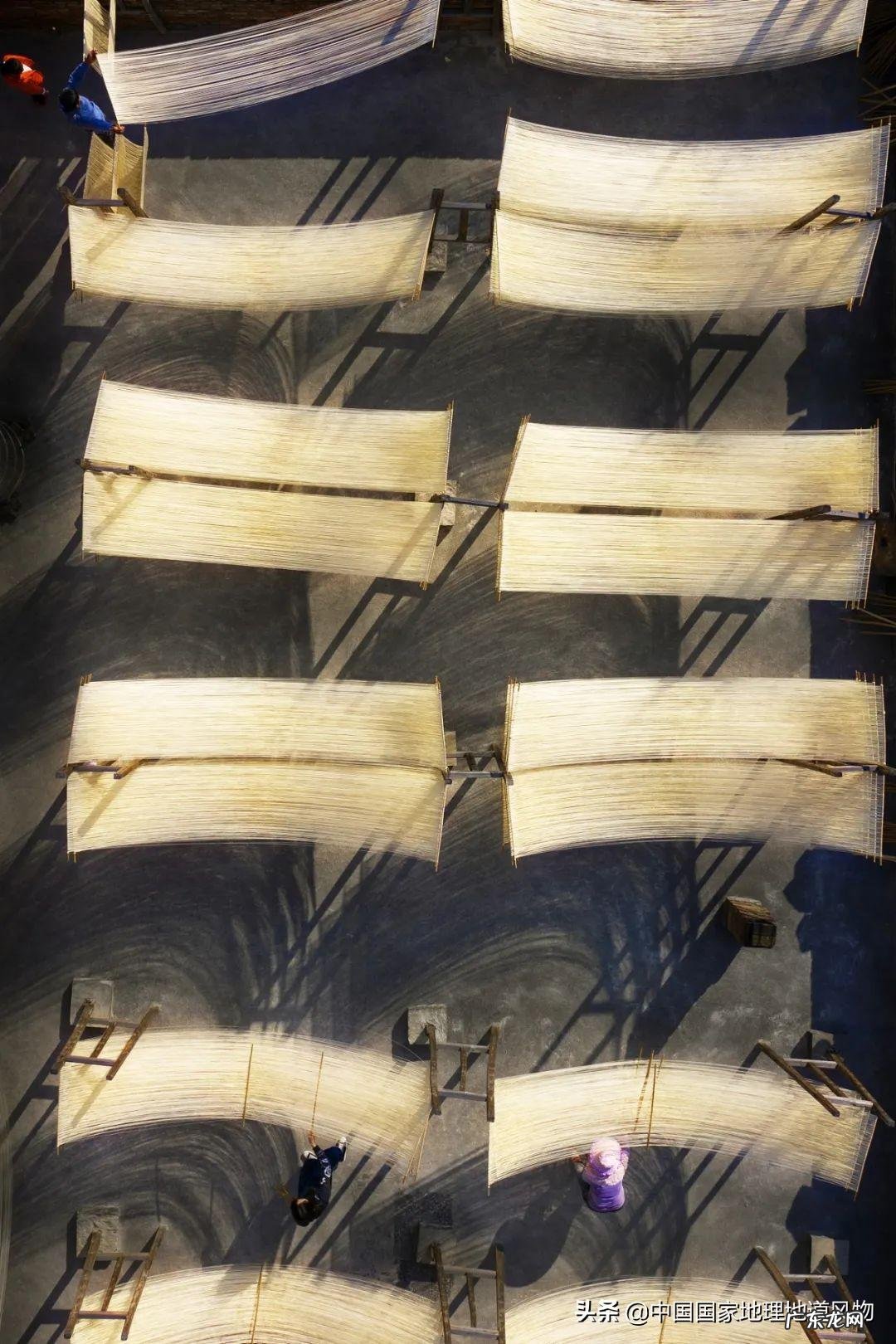 阳台种荔枝树风水好吗 水井旁边种荔枝树风水好吗