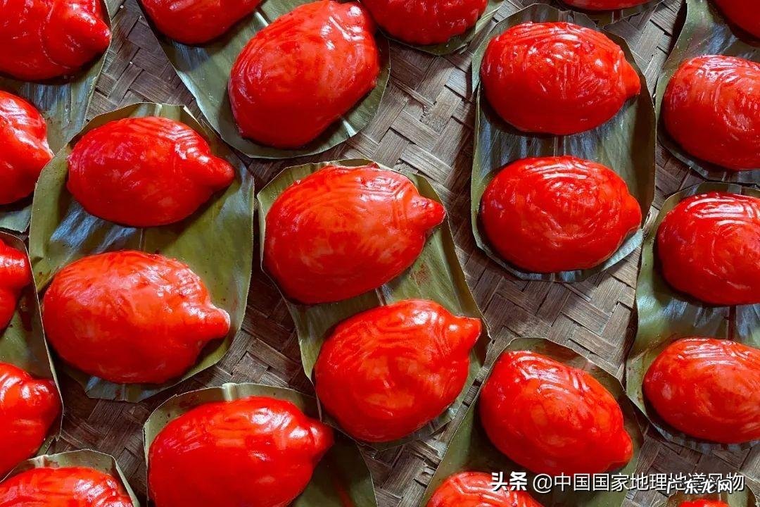 阳台种荔枝树风水好吗 水井旁边种荔枝树风水好吗