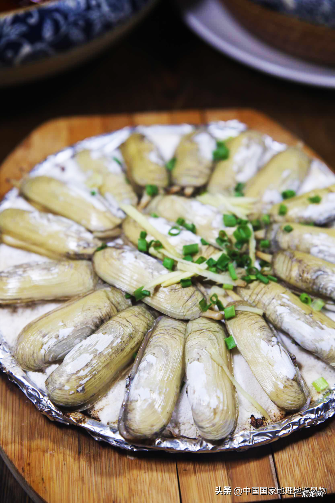 阳台种荔枝树风水好吗 水井旁边种荔枝树风水好吗