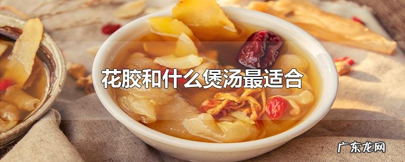 花胶和什么煲汤最适合