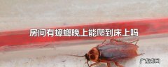 房间有蟑螂晚上能爬到床上吗