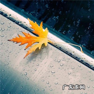 微信头像风水 聚财