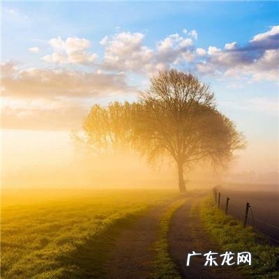 微信头像风水 聚财