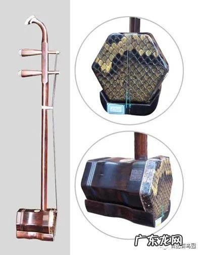 家里养蛇风水好不好