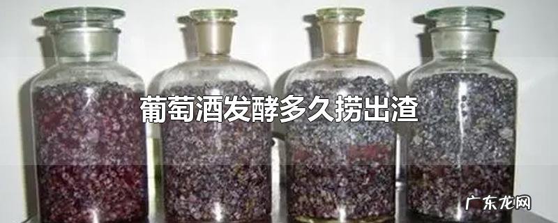 葡萄酒发酵多久捞出渣