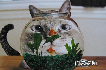 六边形盒子 六角形盒子风水