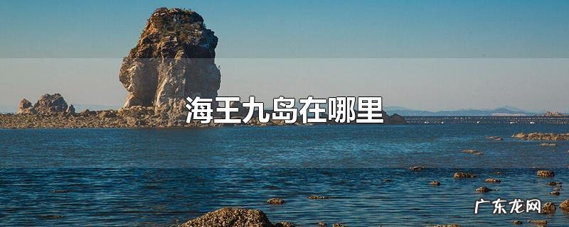 海王九岛在哪里