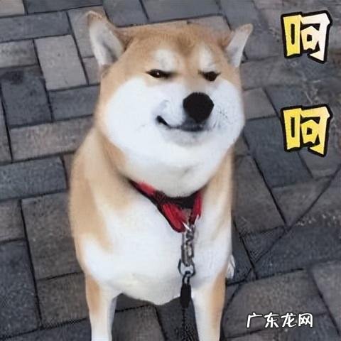 端砚倒流香风水轮