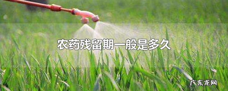 农药残留期一般是多久