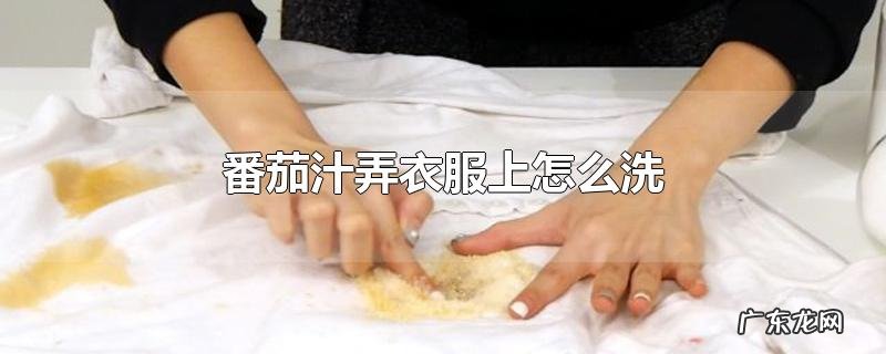 番茄汁弄衣服上怎么洗