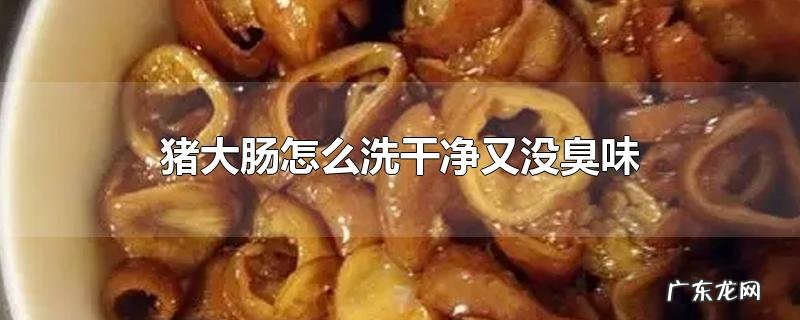 猪大肠怎么洗干净又没臭味