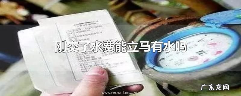 刚交了水费能立马有水吗
