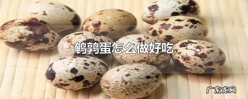 鹌鹑蛋怎么做好吃