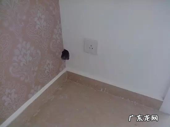 门套算不算门风水先生