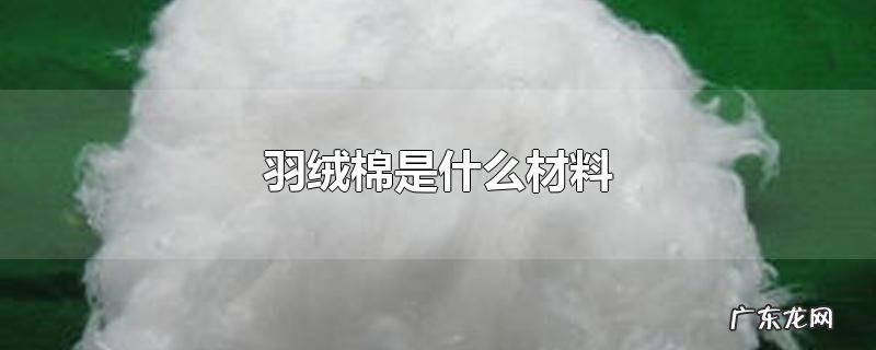 羽绒棉是什么材料
