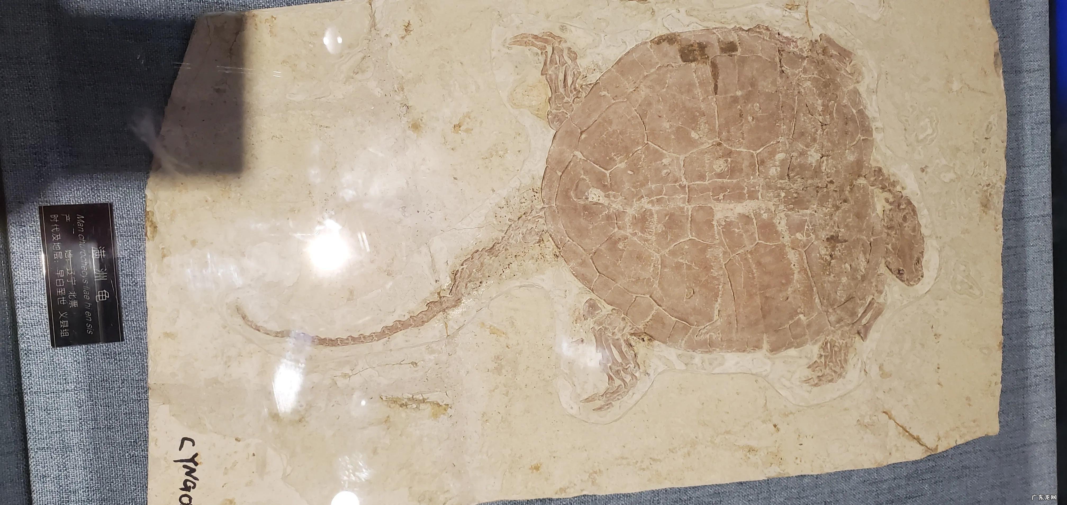 朝阳区哪个地方风水好 北京朝阳区哪里风水好点