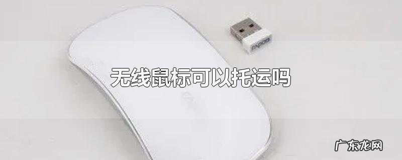 无线鼠标可以托运吗