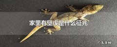 家里有壁虎是什么征兆