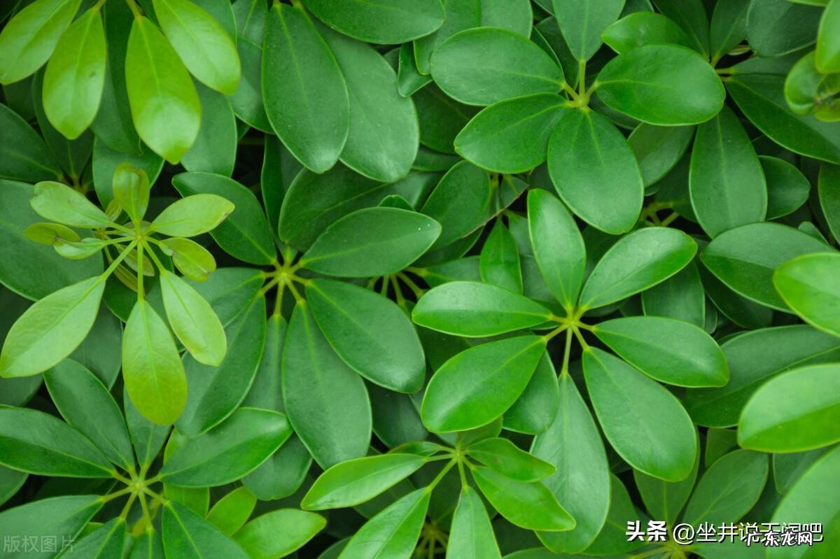 床头里放东西风水好吗 床头摆件对风水好吗