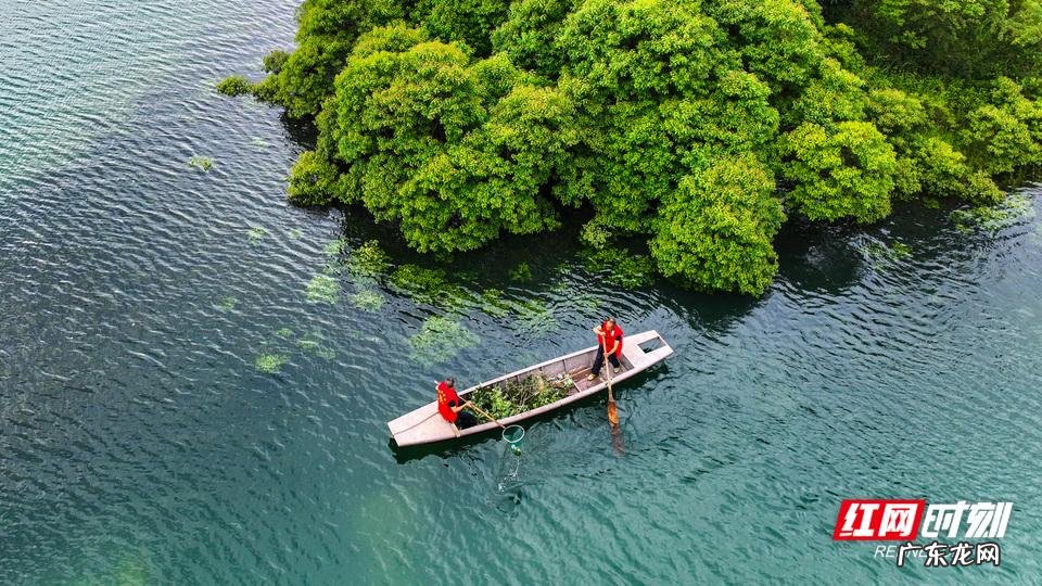 衡阳风水宝地 湖南常宁洋泉风水宝地在哪里