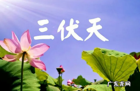 2022年三伏天热不热