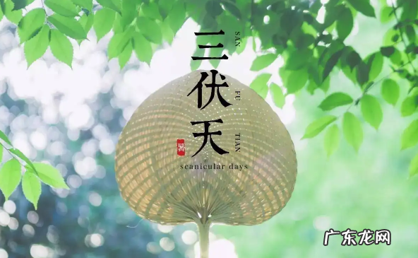 2022年三伏天热不热