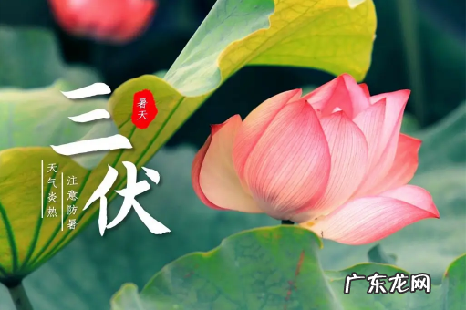 2022年三伏天热不热