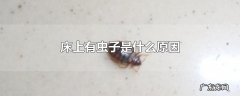 床上有虫子是什么原因