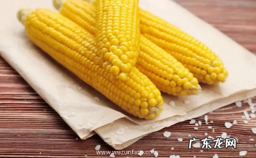 玉米煮好放锅里一夜会坏掉吗