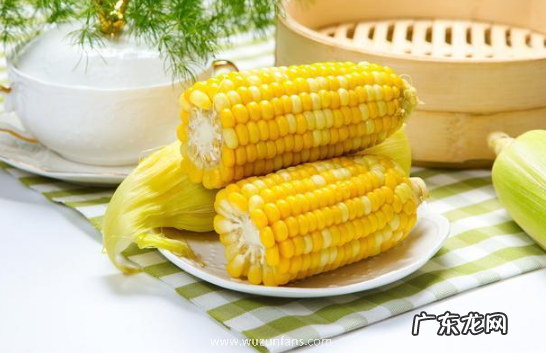 玉米煮好放锅里一夜会坏掉吗