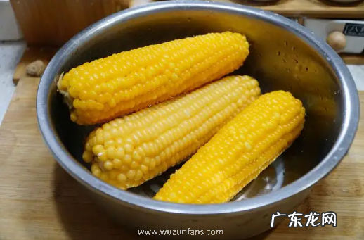 玉米煮好放锅里一夜会坏掉吗