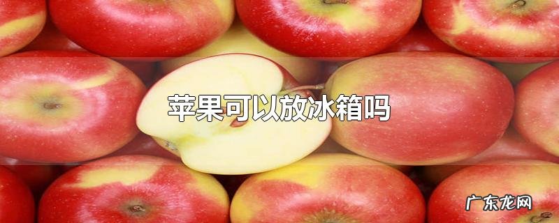 苹果可以放冰箱吗