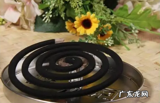 为什么一开灯蚊子就不见了