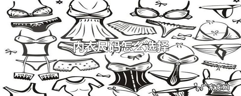 内衣尺码怎么选择