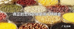 真正的五谷杂粮是哪几种粮食